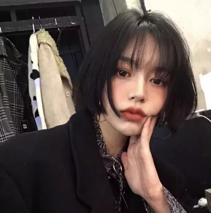 如果历史是一群喵第七季